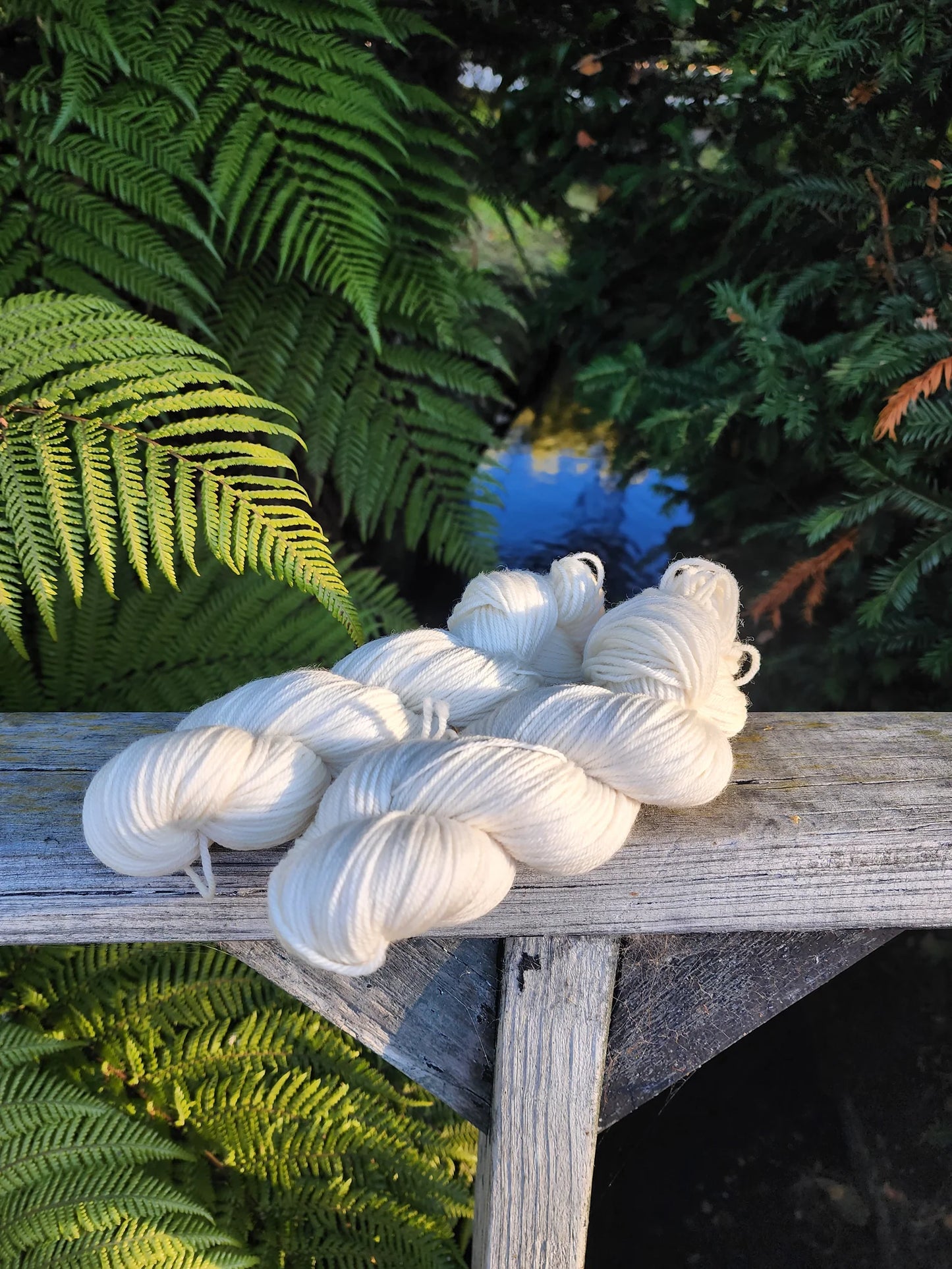 Cream - Kiwiyarn-a - Merino DK 8 Ply
