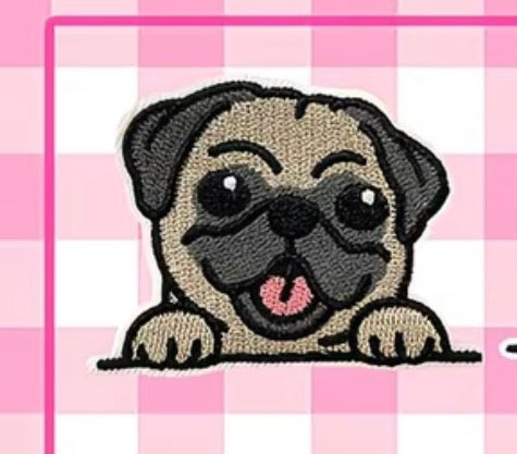 Patch - Pug dog