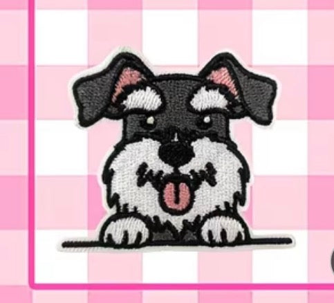Patch - Schnauzer dog