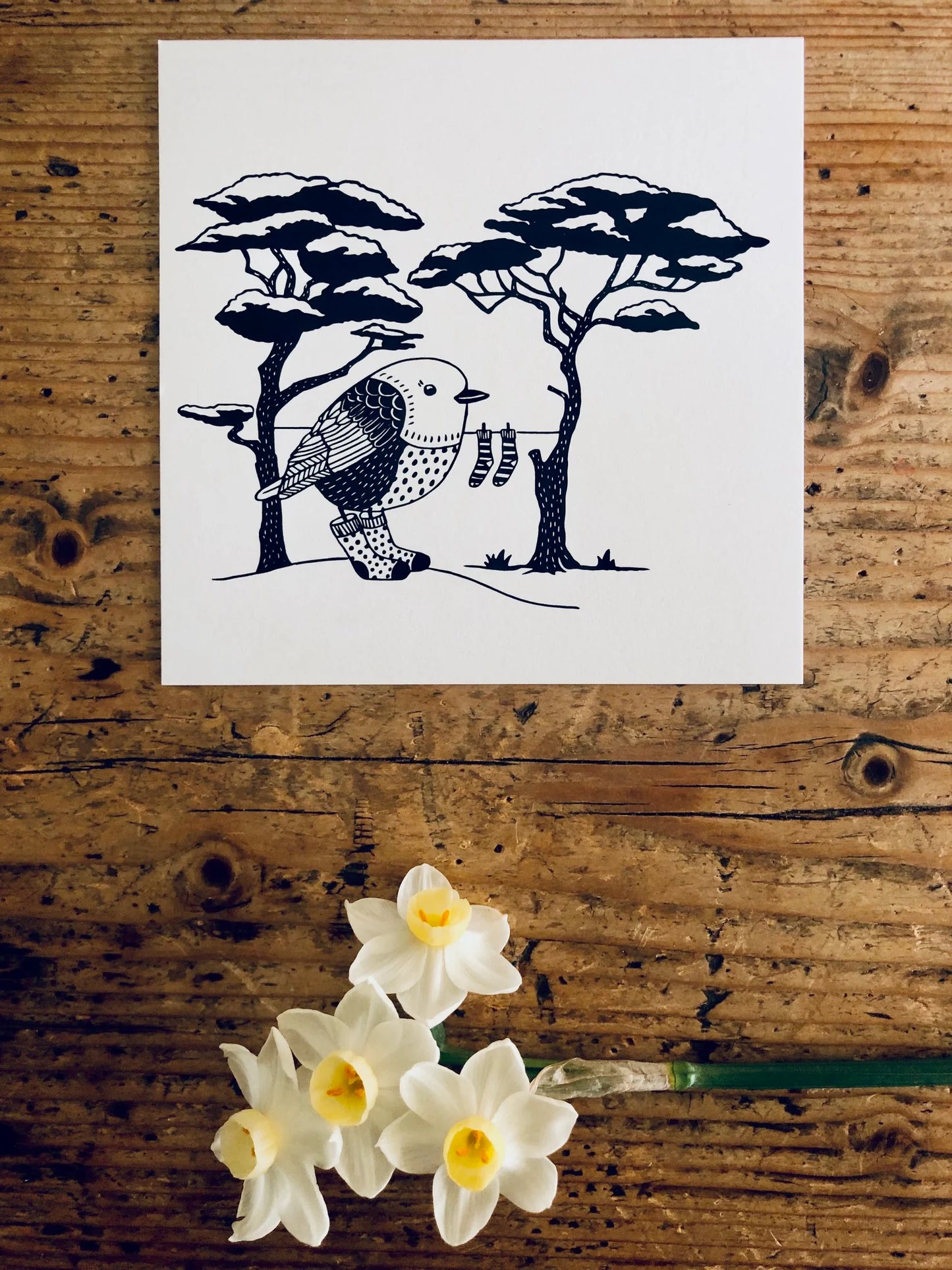 Gift Card - Kakaruwai - South Island Robin