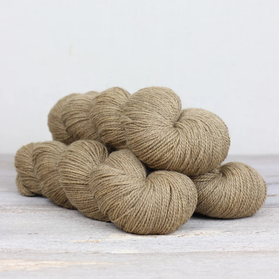 Fibre Co - Amble Sock Yarn - St. Bees Beach - PREORDER
