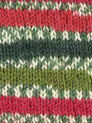 Holly Berry 886 - Country Birds Signature 4 Ply Sock - West Yorkshire Spinners