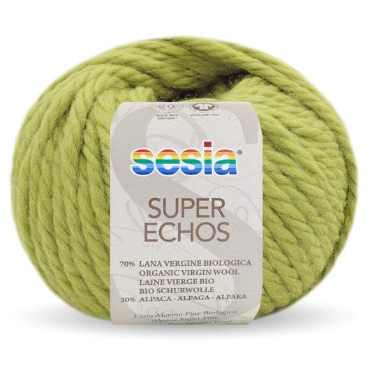 Super Echos Organic - Sesia Super Chunky - #2462