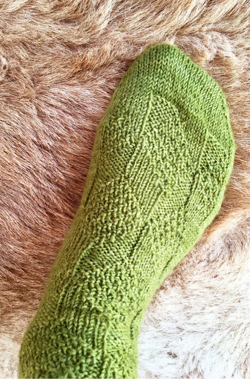 Mr Ware Sock - Hanging Rock Roost - PRINTED PATTERN