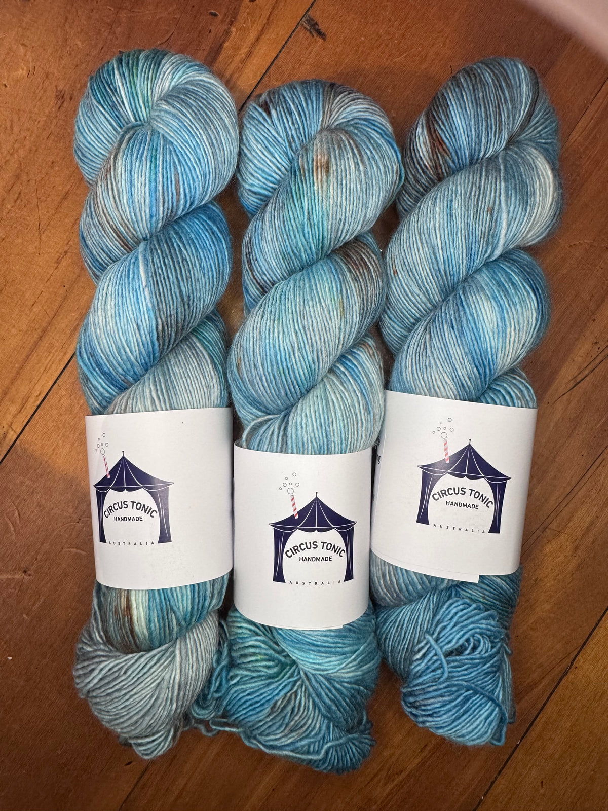 Circus Single Merino - Circus Tonic Handmade Yarn - Fteri