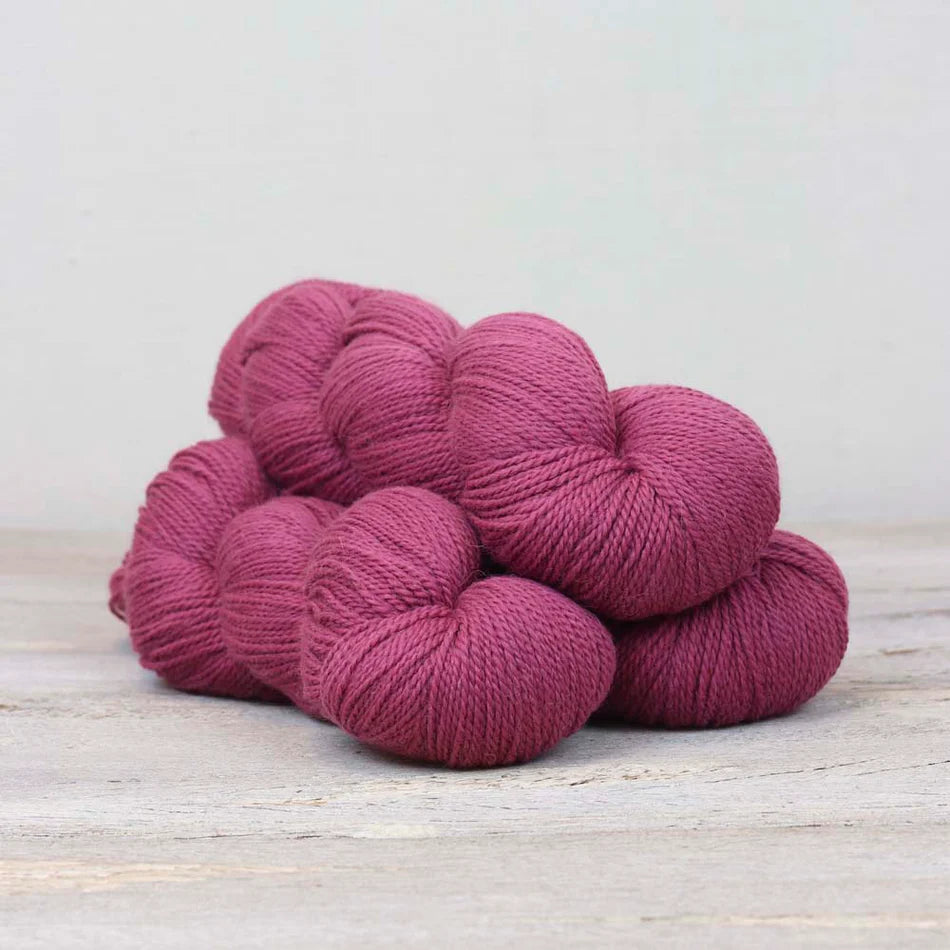 Fibre Co - Amble Sock Yarn - Walk Me Home - PREORDER