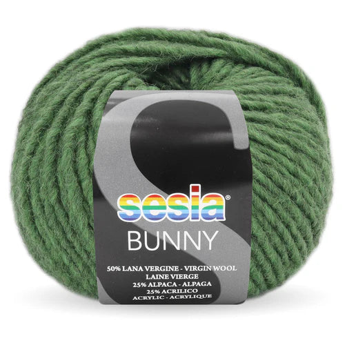 Sesia - Bunny Chunky Yarn - Envy 8487