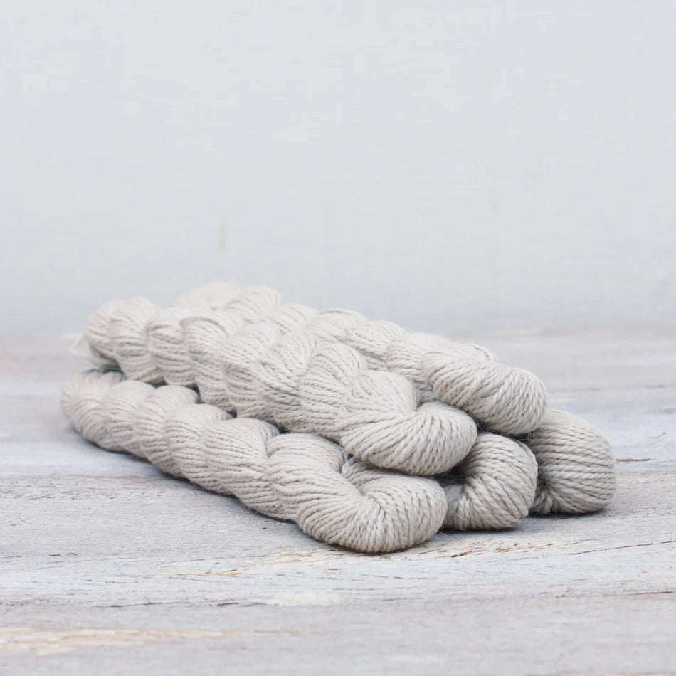 Fibre Co - Amble Sock Yarn Mini - Chalk Cliffs