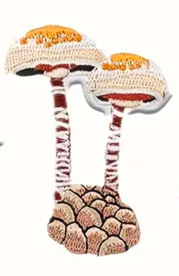 Patches - Brown Toadstools