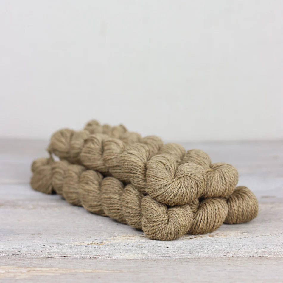 Fibre Co - Amble Sock Yarn Mini - St. Bees Beach