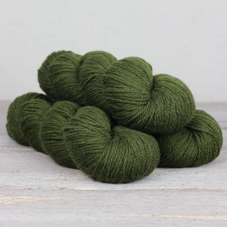 Fibre Co - Cumbria Worsted - Whinlatter Forest