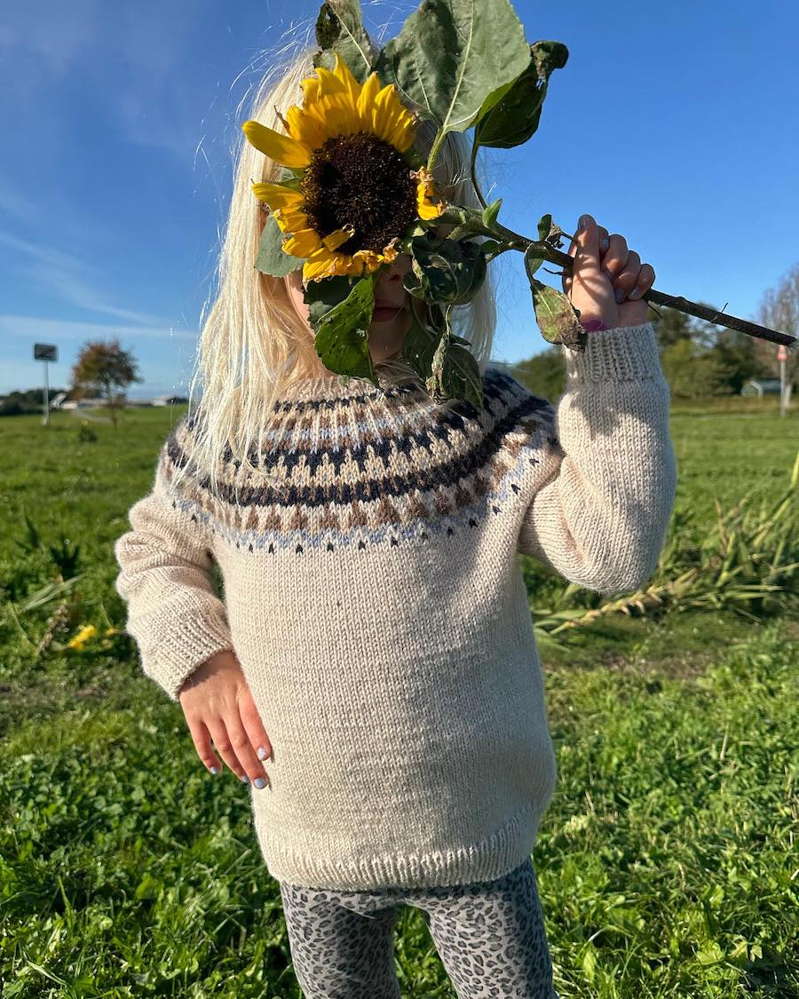 Celeste Sweater - Junior - PetiteKnit - PRINTED PATTERN