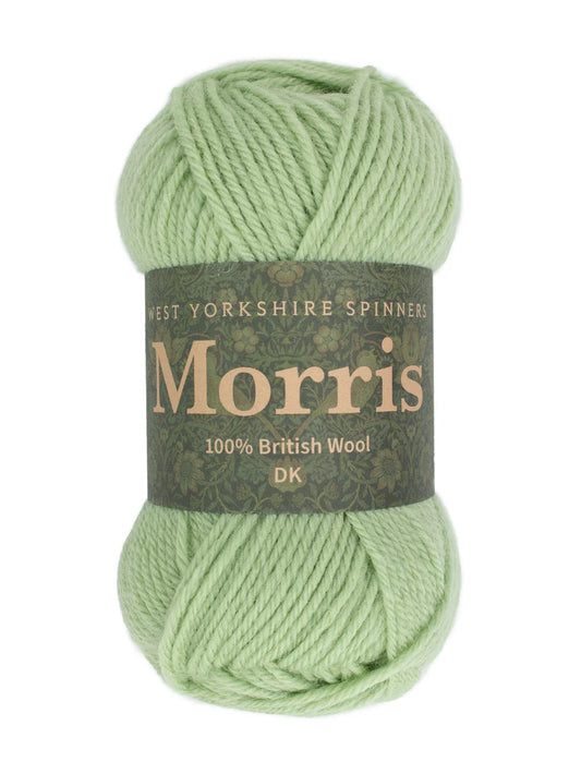 Sage 1281 - Morris DK - West Yorkshire Spinners