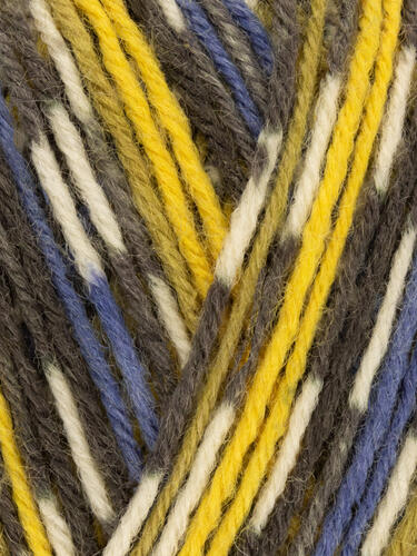 Blue Tit 818 - Country Birds Signature 4 Ply Sock - West Yorkshire Spinners