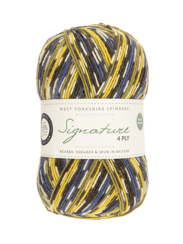 Blue Tit 818 - Country Birds Signature 4 Ply Sock - West Yorkshire Spinners