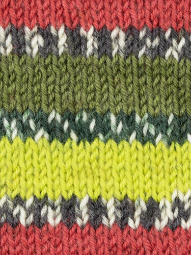 Green Woodpecker 1170 - Country Birds Signature 4 Ply Sock - West Yorkshire Spinners