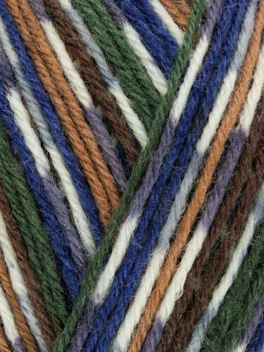 Mallard 862 - Country Birds Signature 4 Ply Sock - West Yorkshire Spinners