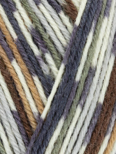 Owl 877 - Country Birds Signature 4 Ply Sock - West Yorkshire Spinners