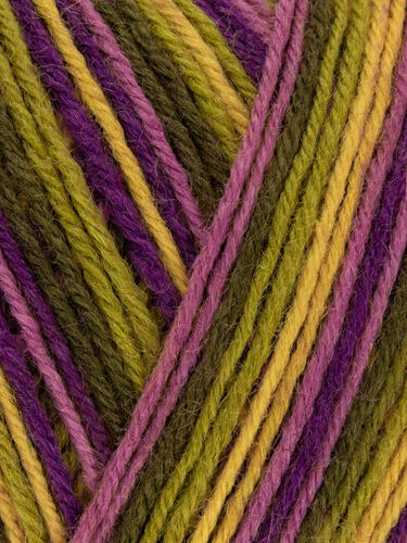 Passionfruit Cooler 811 - Cocktail Signature 4 Ply Sock - West Yorkshire Spinners