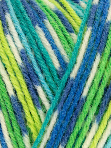 Peacock 851 - Country Birds Signature 4 Ply Sock - West Yorkshire Spinners