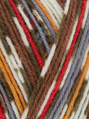 Robin 941 - Country Birds Signature 4 Ply Sock - West Yorkshire Spinners