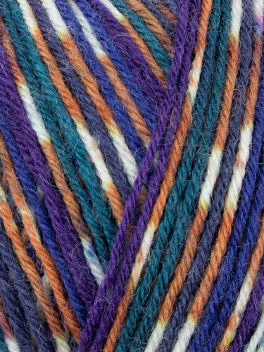 Starling 1169 - Country Birds Signature 4 Ply Sock - West Yorkshire Spinners
